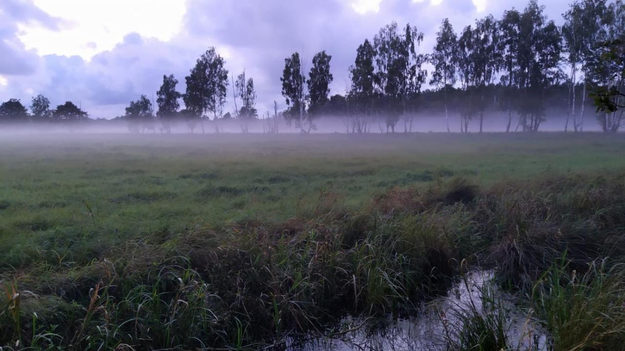 Slowinskie Widoki Domki Flora, Fauna, Noclegi סמולג'ינסקי לאס מראה חיצוני תמונה